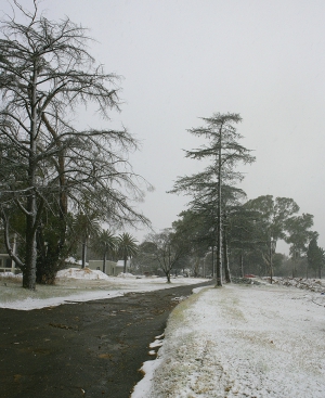 Snowing in Johannesburg
