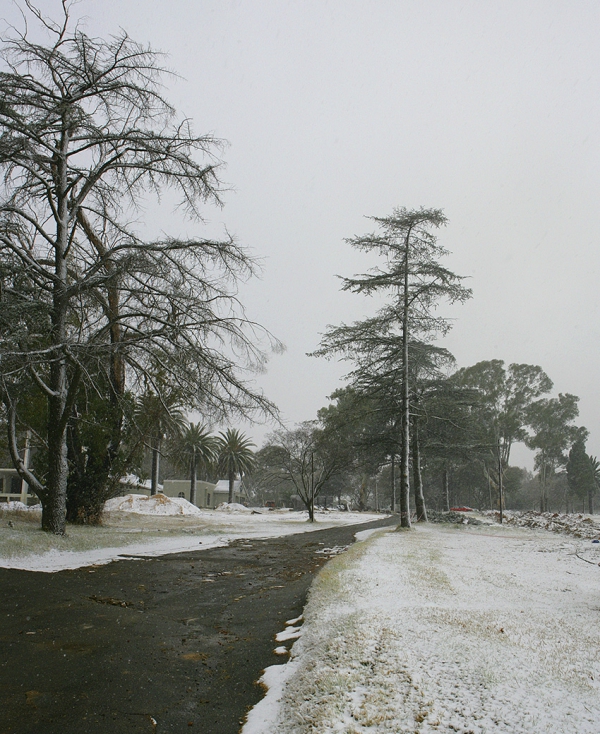 Snowing in Johannesburg